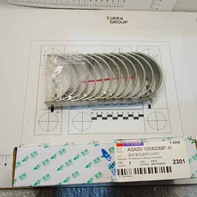 A0A00-1004007.A0A00-1004006 Комплект вкладышей